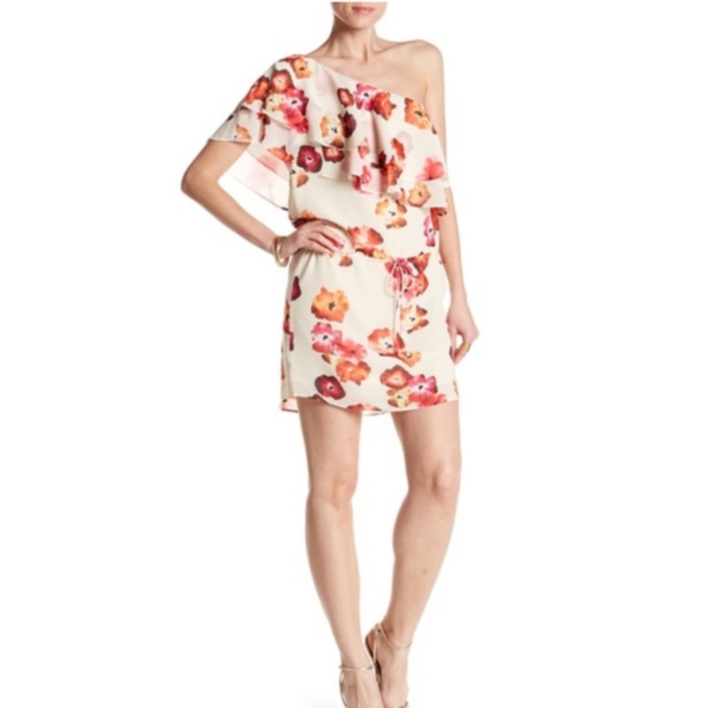 Haute Hippie One-shoulder Floral Print Dress